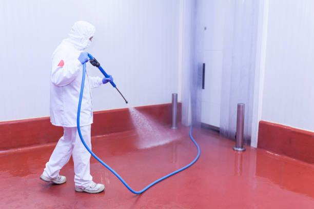 Best Gutter Cleaning and Brightening in Jacksboro, TX